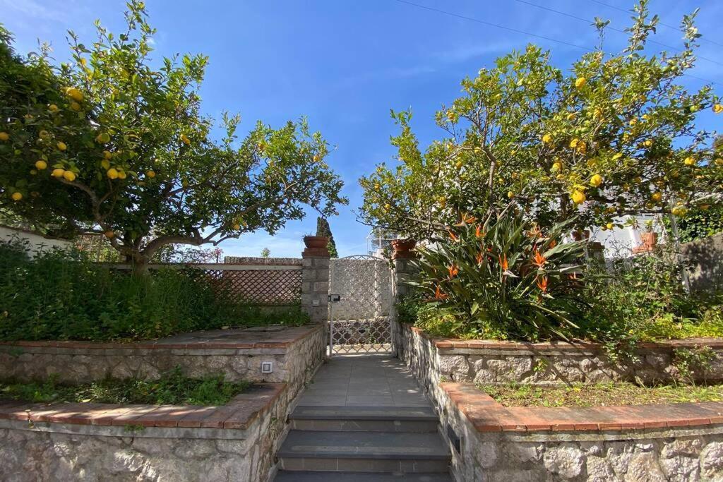 I Limoni Capri Apartment Exteriér fotografie